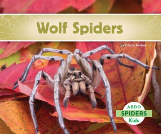 Knjiga Wolf Spiders Claire Archer