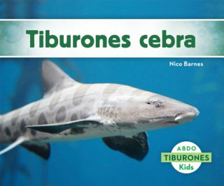 Buch Tiburones Cebra Nico Barnes