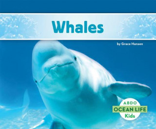 Boek Whales Grace Hansen