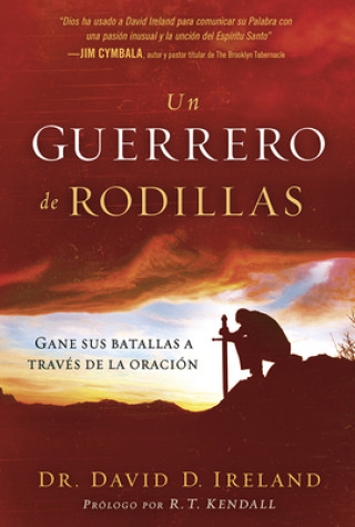 Buch UN GUERRERO DE RODILLAS David Ireland