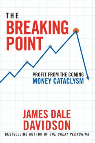 Kniha Breaking Point James Dale Davidson