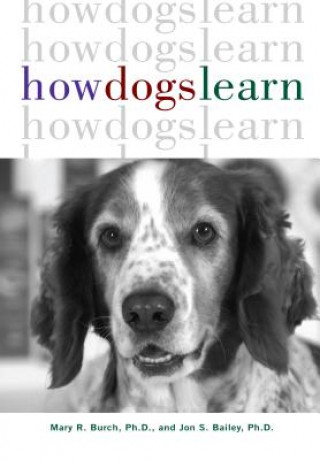 Kniha How Dogs Learn Mary R. Burch