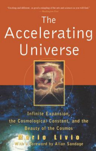 Kniha Accelerating Universe Mario Livio