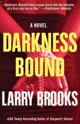 Book Darkness Bound Larry Brooks