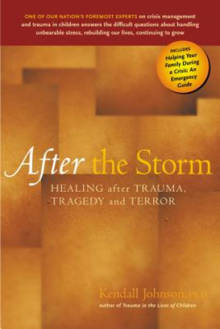 Carte After the Storm: Healing After Trauma, Tragedy and Terror Kendall Johnson