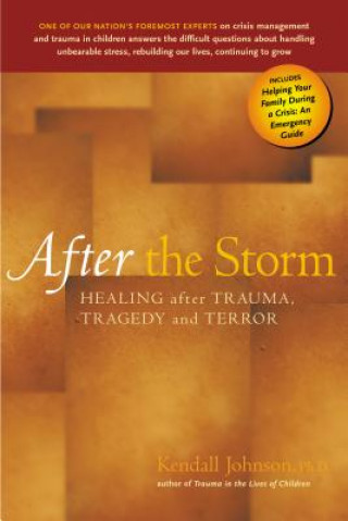 Książka After the Storm: Healing After Trauma, Tragedy and Terror Kendall Johnson