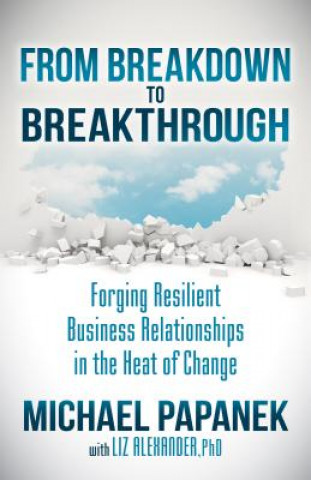 Kniha From Breakdown to Breakthrough Michael Papanek