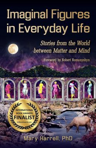 Книга Imaginal Figures In Everyday Life Mary Harrell