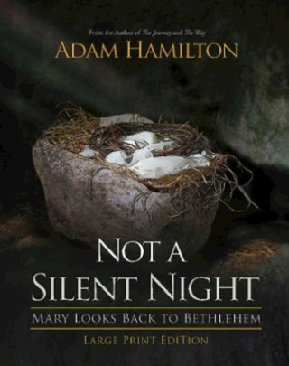 Kniha Not a Silent Night [Large Print] Adam Hamilton