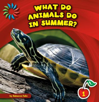 Könyv What Do Animals Do in Summer? Rebecca Felix