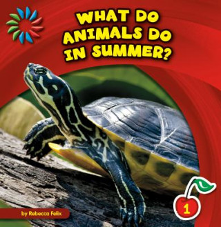 Книга What Do Animals Do in Summer? Rebecca Felix