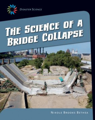 Carte The Science of a Bridge Collapse Nikole Brooks Bethea