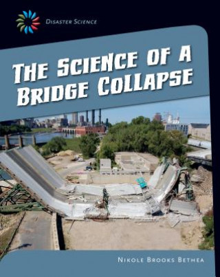 Kniha The Science of a Bridge Collapse Nikole Brooks Bethea