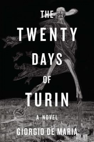 Kniha Twenty Days of Turin Giorgio De Maria