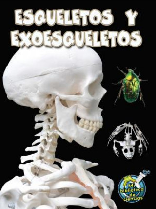 Kniha Esqueletos y Exoesqueletos (Skeletons and Exoskeletons) Julie K. Lundgren