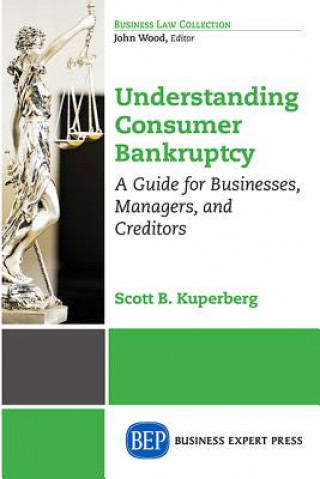 Könyv Understanding Consumer Bankruptcy Scott B. Kuperberg