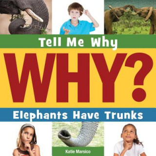 Book Elephants Have Trunks Katie Marsico