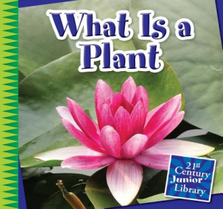 Buch What Is a Plant? Jennifer Colby