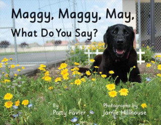 Kniha Maggy, Maggy, May, What Do You Say? Patty Favier