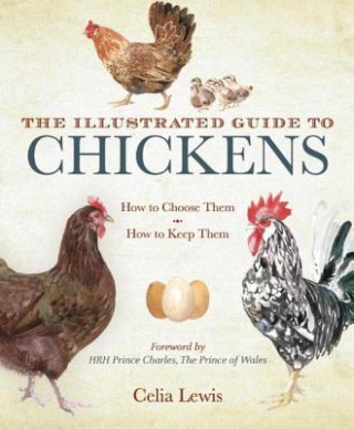 Kniha The Illustrated Guide to Chickens: How to Choose Them, How to Keep Them Celia Lewis