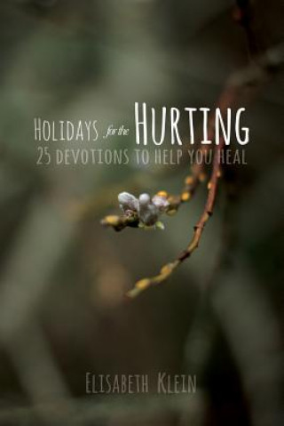 Book Holidays for the Hurting Elisabeth Klein