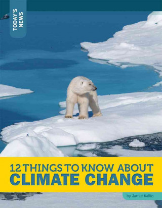 Книга 12 Things to Know about Climate Change Rebecca Felix