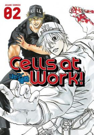 Könyv Cells At Work! 2 Akane Shimizu