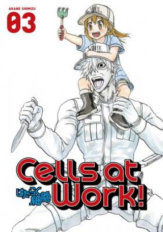 Kniha Cells At Work! 3 Akane Shimizu