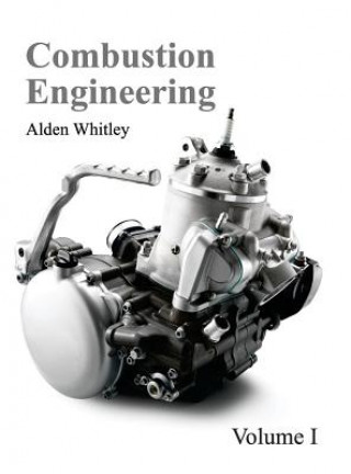 Kniha Combustion Engineering: Volume I Alden Whitley