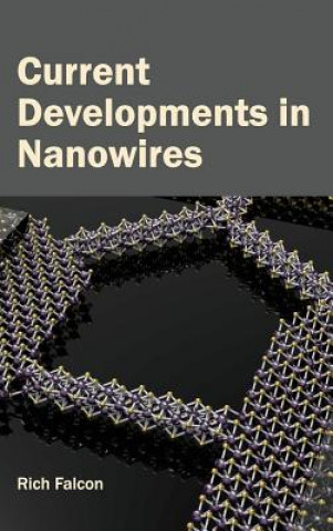 Könyv Current Developments in Nanowires Rich Falcon
