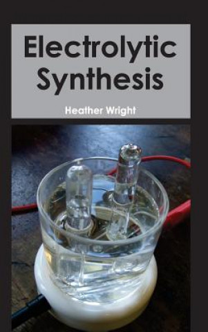 Kniha Electrolytic Synthesis Heather Wright