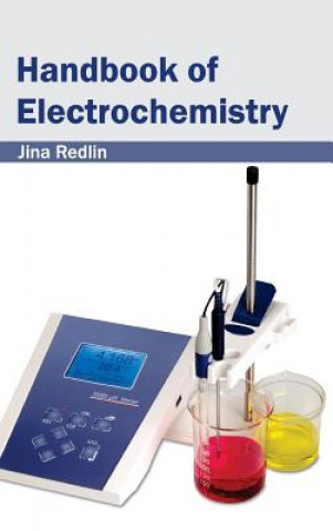 Könyv Handbook of Electrochemistry Jina Redlin