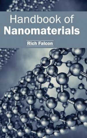 Kniha Handbook of Nanomaterials Rich Falcon