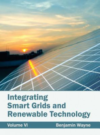Könyv Integrating Smart Grids and Renewable Technology: Volume VI Benjamin Wayne