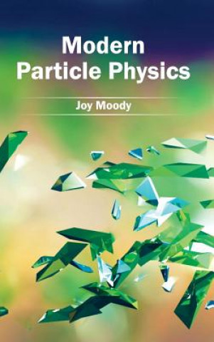 Livre Modern Particle Physics Joy Moody