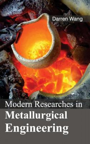 Könyv Modern Researches in Metallurgical Engineering Darren Wang
