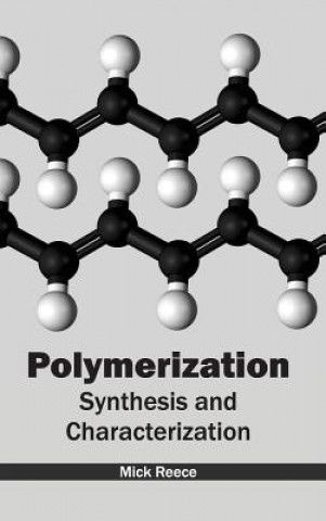 Könyv Polymerization: Synthesis and Characterization Mick Reece