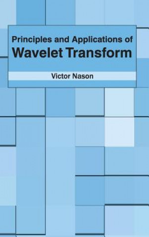 Kniha Principles and Applications of Wavelet Transform Victor Nason