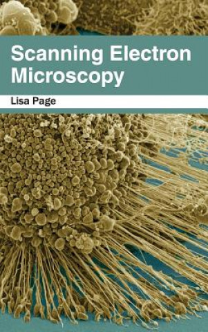 Könyv Scanning Electron Microscopy Lisa Page