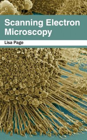 Book Scanning Electron Microscopy Lisa Page