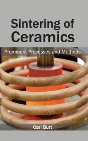 Book Sintering of Ceramics: Prominent Processes and Methods Carl Burt