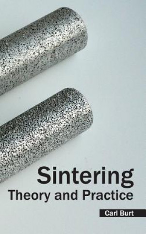 Knjiga Sintering: Theory and Practice Carl Burt