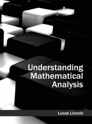 Kniha Understanding Mathematical Analysis Lucas Lincoln