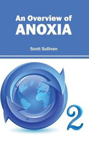 Kniha Overview of Anoxia Scott Sullivan