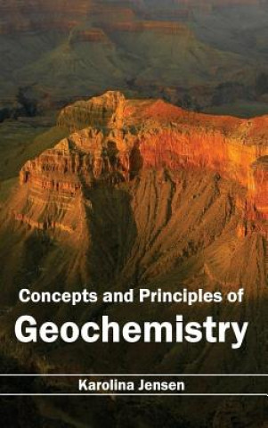 Kniha Concepts and Principles of Geochemistry Karolina Jensen