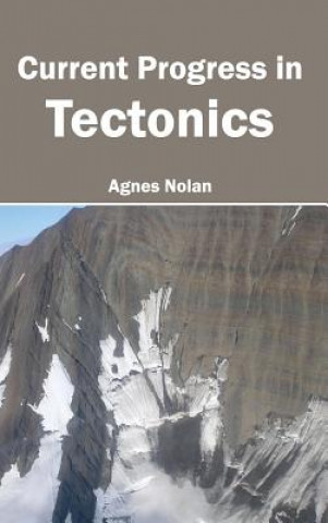 Könyv Current Progress in Tectonics Agnes Nolan