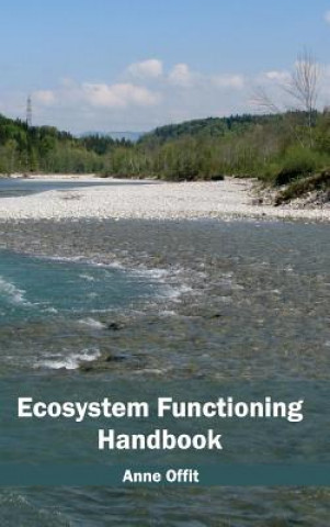 Kniha Ecosystem Functioning Handbook Anne Offit
