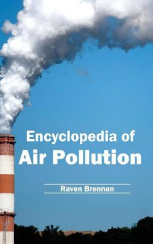 Kniha Encyclopedia of Air Pollution Raven Brennan