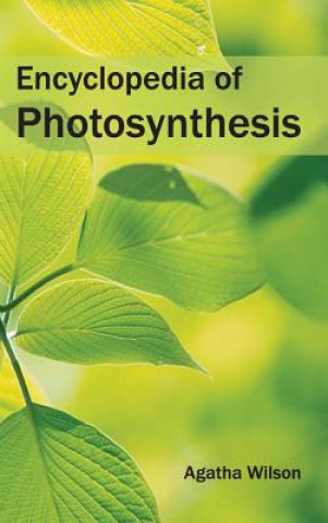 Kniha Encyclopedia of Photosynthesis Agatha Wilson