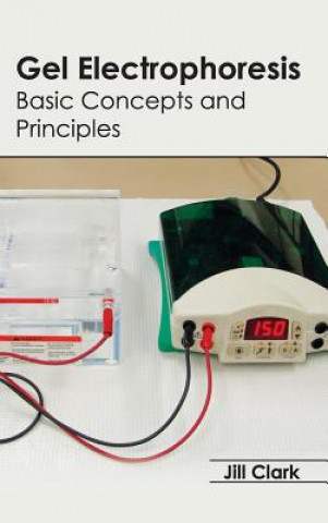 Kniha Gel Electrophoresis: Basic Concepts and Principles Jill Clark